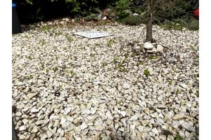 Grind, stenen, rotsen, lavastenen