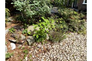 Grind, stenen, rotsen, lavastenen