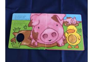 Voelboekje : Erwin Eend Ben jij mijn mama?