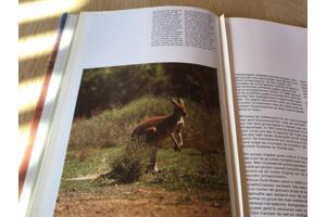 Australië ;Prachtig boek ,mooi & uitnemend natuur,op reisTOP