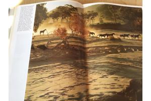 Australië ;Prachtig boek ,mooi & uitnemend natuur,op reisTOP