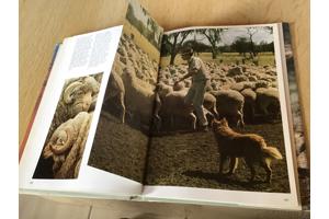 Australië ;Prachtig boek ,mooi & uitnemend natuur,op reisTOP