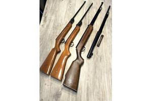 Hongaarse (?) buksen