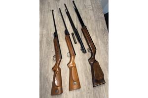 Hongaarse (?) buksen