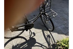 Damesfiets oma model met trommelremmen