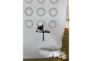 sbroia sapsan 5.5mm krachtig en zuiver