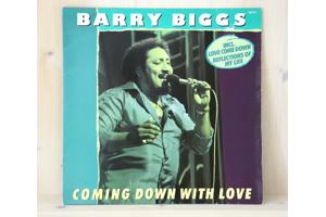 12 x Lp van Rod Steward tot Gerard Joling en Xanadu ELO etc