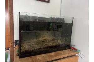 Leeg Aquarium