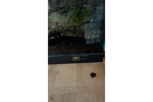 Leeg Aquarium