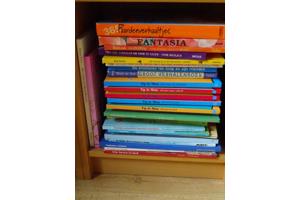 Leesboeken jongens meisjes vanaf 9 jaar of 10 jaar los koop