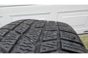 BMW E60/E61 Winterbanden 225/50/R17 5X120 ET20