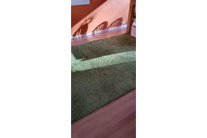 Tapijt Groen