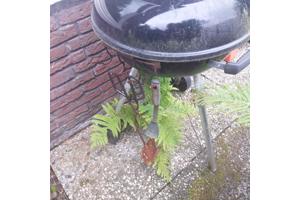 BBQ  op poten