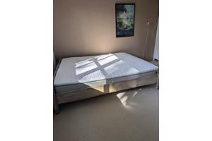Compleet bed 160x200 cm – alles in één koop!