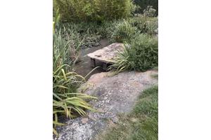 Natuur rotsen en platen