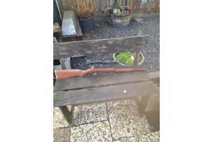 Sheridan pompbuks cal 20