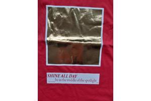 Glo-Story t-shirt Shine all day rood goud XL