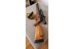 Duc Il (Evanix) Hunting Master AR6 semi-auto in 5.5 mm