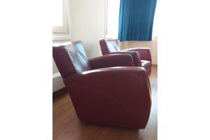 Fauteuils 2 stuks