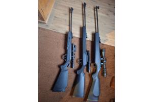 Diana model 21 panther, model 31 panther en model 38