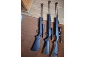 Diana model 21 panther, model 31 panther en model 38