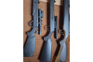 Diana model 21 panther, model 31 panther en model 38