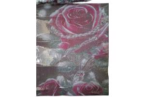 nr 13 Diamond Painting rozen 50x40cm (vierkant)