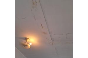 Graag witte plekjes met gele verf beschilderen.