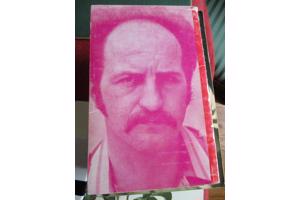 Hedwig Speliers  -  Omtrent Stijn Streuvels