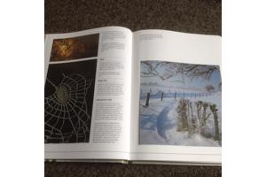 De 4 seizoenen ,de lente ,de zomer,de herfst,de winter