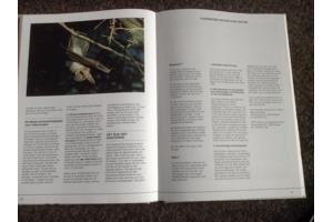 De 4 seizoenen ,de lente ,de zomer,de herfst,de winter