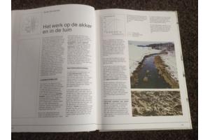 De 4 seizoenen ,de lente ,de zomer,de herfst,de winter