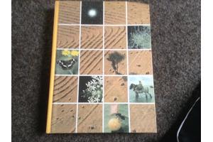 De 4 seizoenen ,de lente ,de zomer,de herfst,de winter