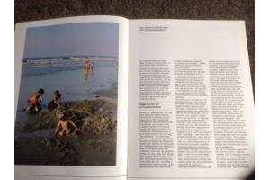 De 4 seizoenen ,de lente ,de zomer,de herfst,de winter