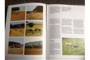 De 4 seizoenen ,de lente ,de zomer,de herfst,de winter