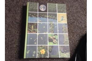 De 4 seizoenen ,de lente ,de zomer,de herfst,de winter