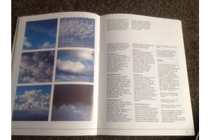 De 4 seizoenen ,de lente ,de zomer,de herfst,de winter