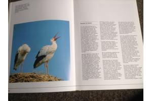 De 4 seizoenen ,de lente ,de zomer,de herfst,de winter