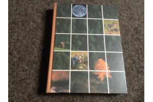 De 4 seizoenen ,de lente ,de zomer,de herfst,de winter