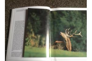 De 4 seizoenen ,de lente ,de zomer,de herfst,de winter