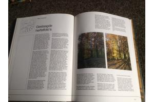 De 4 seizoenen ,de lente ,de zomer,de herfst,de winter