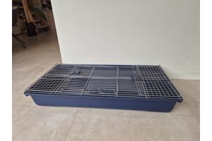 Caviakooi met blauwe bak