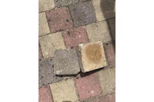 Keurige 41 m2 aan tegels (20cmx20xm) / 1062 stuks