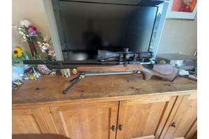 FX dreamline  .25  en .30