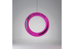 Frisbee met een Diameter van 25 Cm roze
