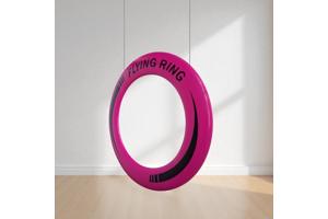 Frisbee met een Diameter van 25 Cm roze