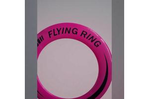 Frisbee met een Diameter van 25 Cm roze