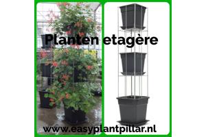 klimplantrekken 2021