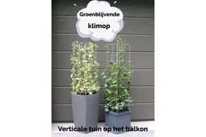 klimplantrekken 2021