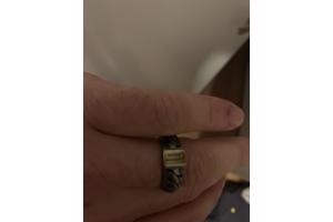 Buddha to buddha ring